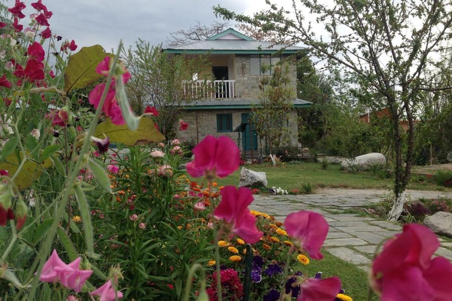 Nagri Resort Pālampur Exterior photo