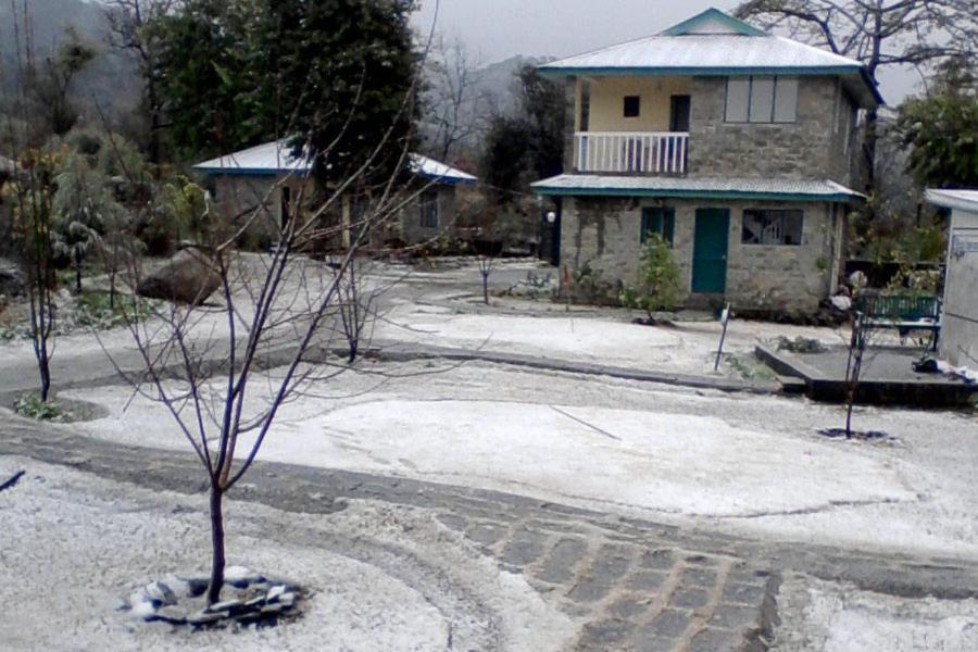 Nagri Resort Pālampur Exterior photo