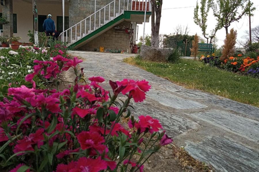 Nagri Resort Pālampur Exterior photo